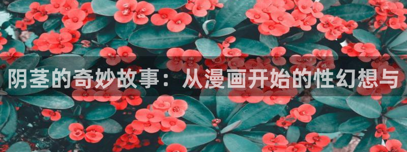 陛下是我的韩漫漫画全集免费